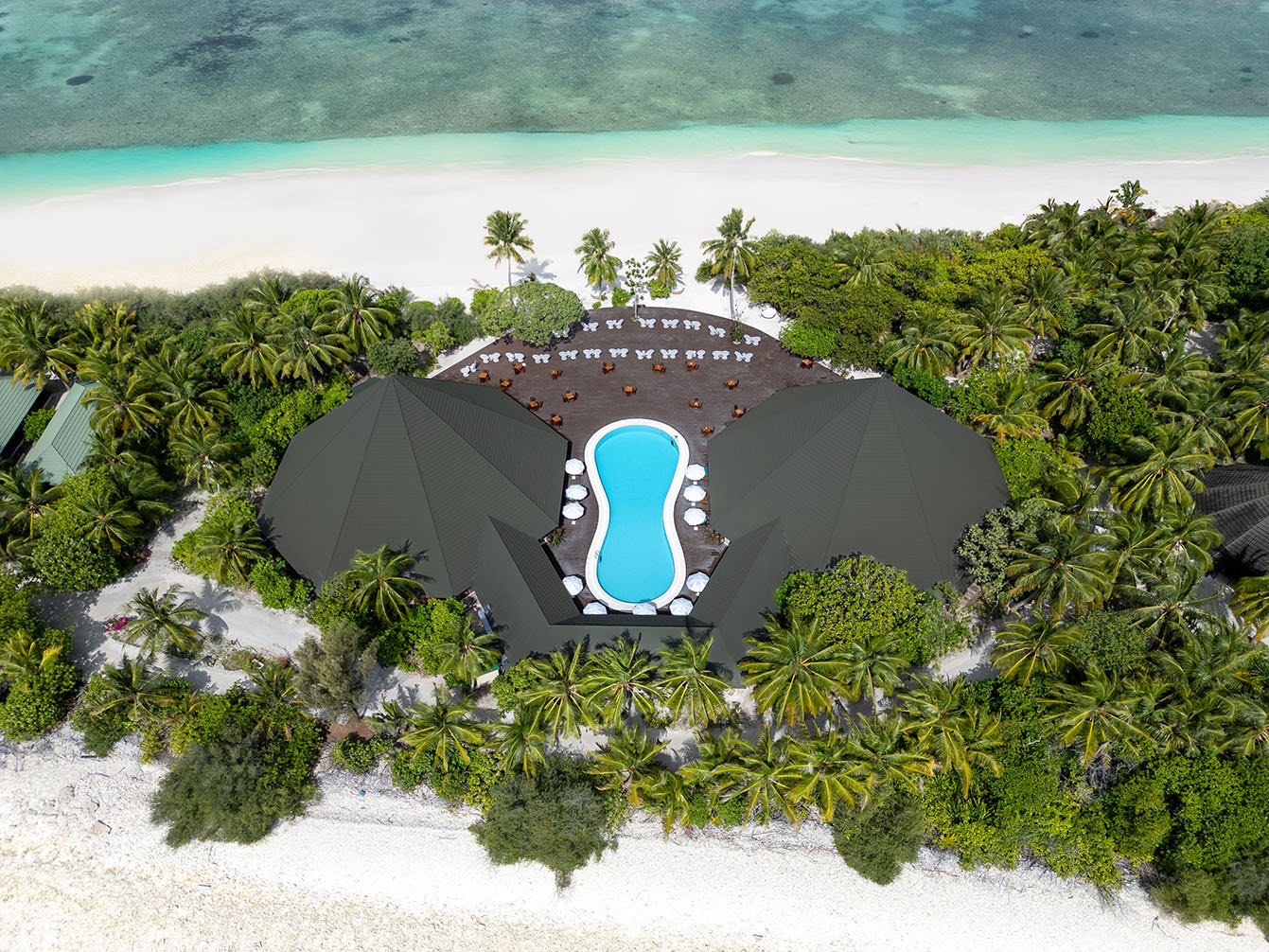 Aerial view of Canareef Resort: a curved swimming pool and thatched pavilions set among dense palms, with white sand and a turquoise lagoon beyond.