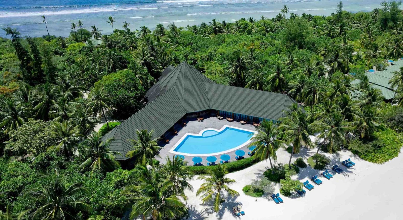 Aerial view of the resort's swimming pool and thatched bar pavilion, ringed by dense palms.
