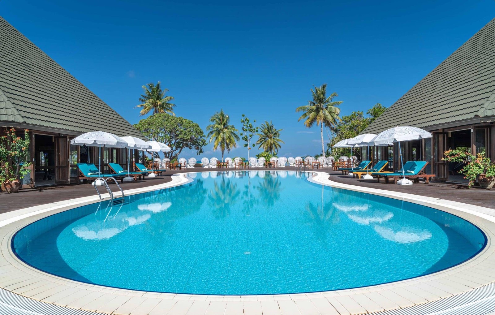 The resort's curved swimming pool edged with white sun loungers and parasols, framed by palms.